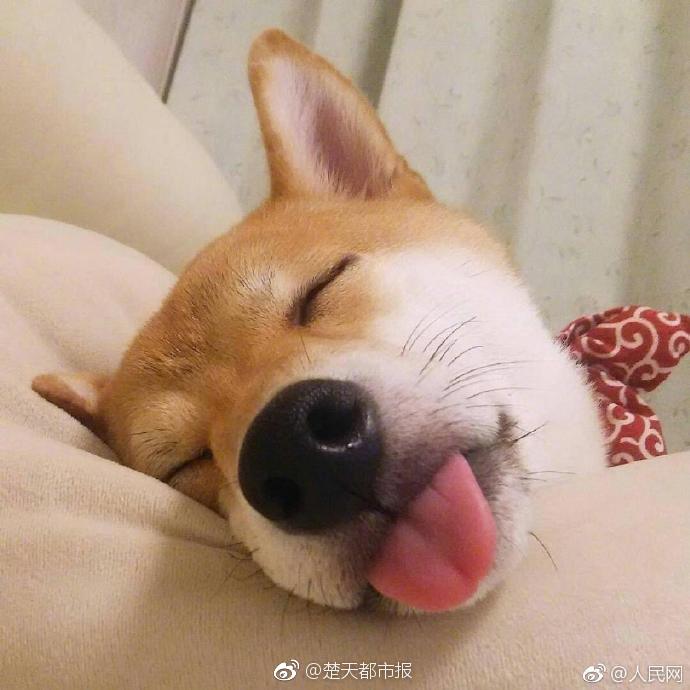 兒媳婦蘇媚全文免費閱讀免費