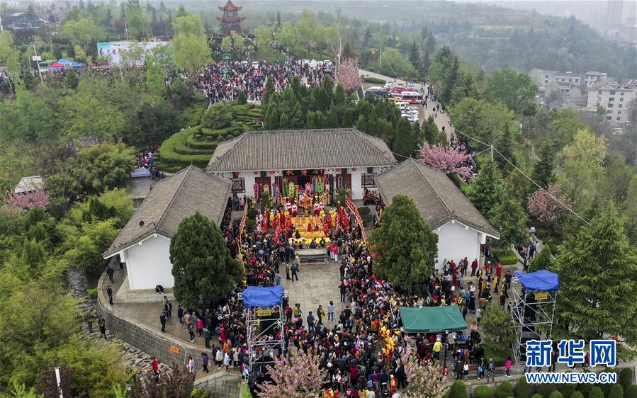 騎蛇難下(雙) 金銀花免費(fèi)