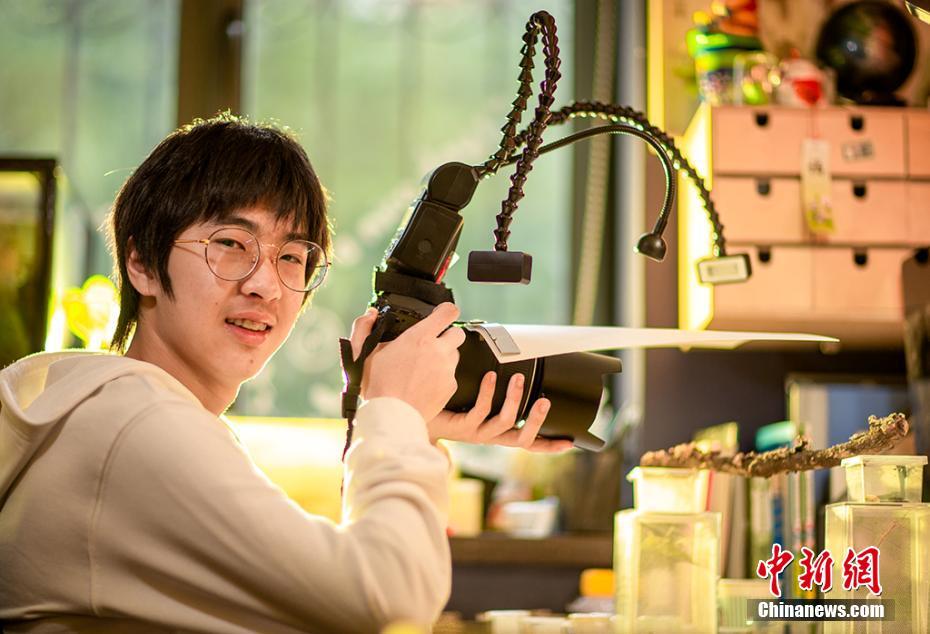 大羅金仙在都市