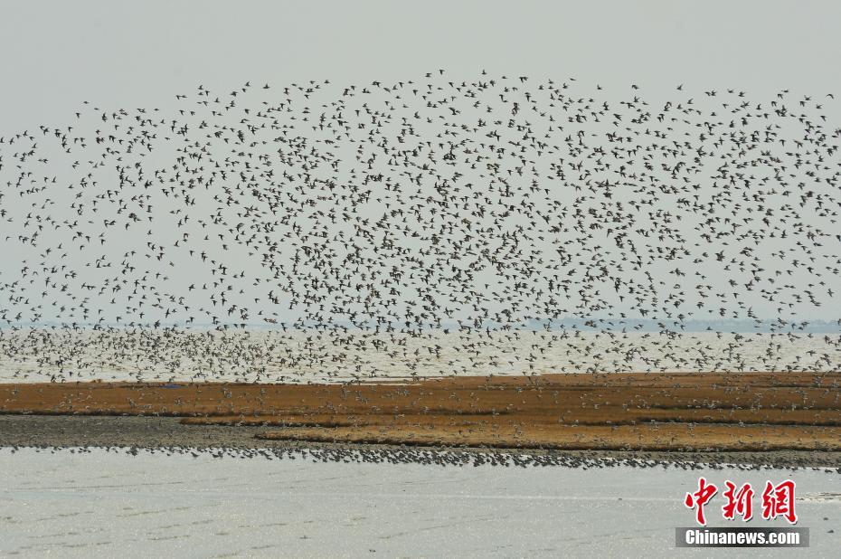 極品骷髏之淡定人生