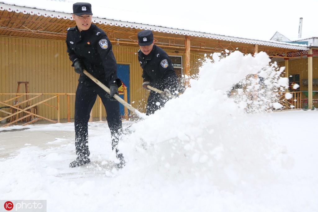 宋風晚和傅沉的全文免費閱讀