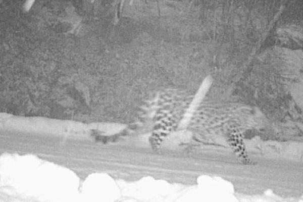 你是我的人間煙火