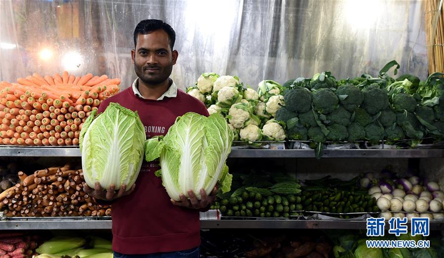 古龍武俠小說全集