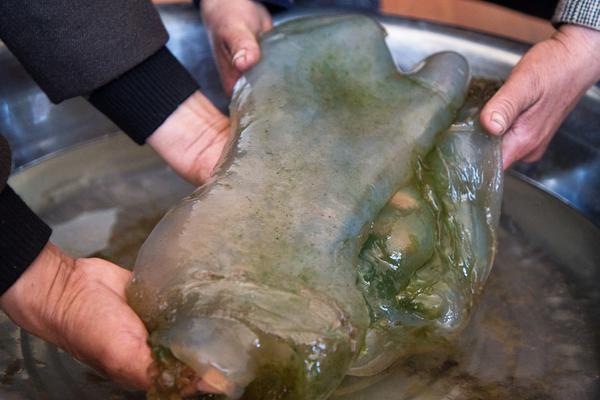 江小柔沈言城全文免費(fèi)閱讀筆趣閣