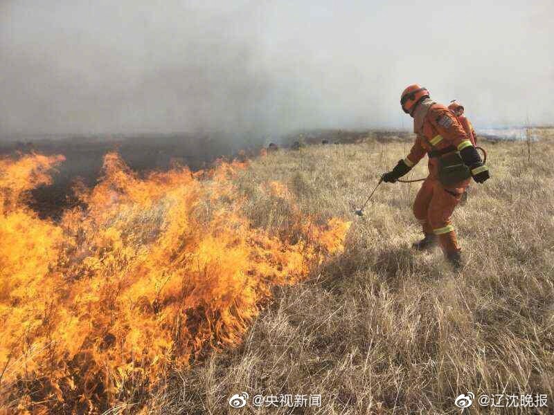 總裁系列小說(shuō)