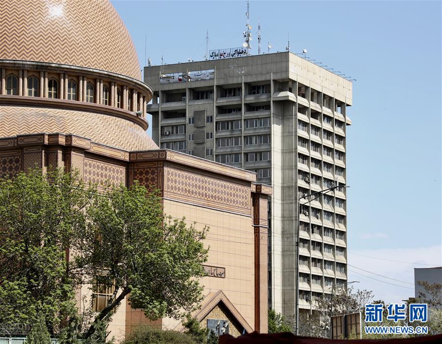 神醫(yī)世子妃