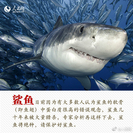 網(wǎng)游之神界至尊