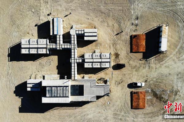 玉米地里的大嫂