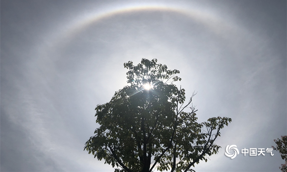 龍帥江辰唐楚楚