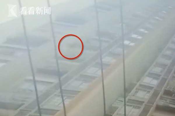 從零開(kāi)始小說(shuō)