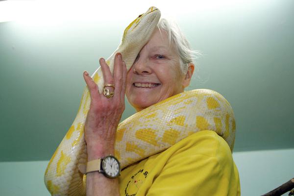 傾城妖姬魅天下