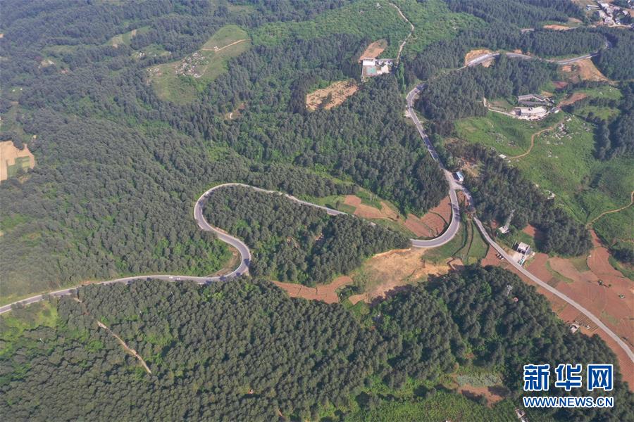 女生日記楊紅櫻