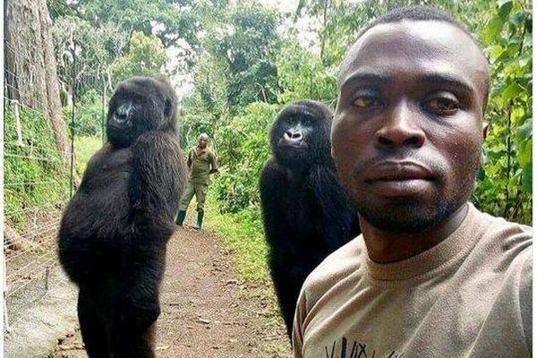 桑甜欒城言全文免費(fèi)閱讀