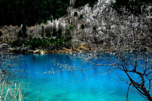 火爆妖夫txt下載