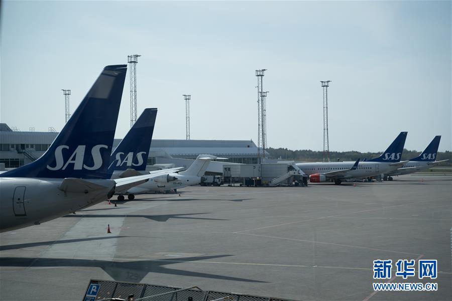 正道圣皇的我娶了邪道魔尊