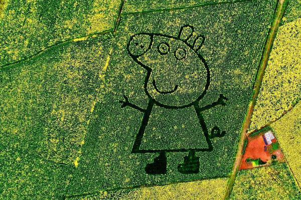 總有偏執(zhí)狂想獨占我