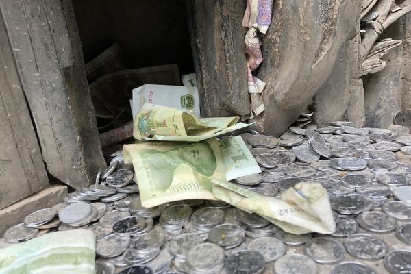 后院美人每日例行挨打的小說