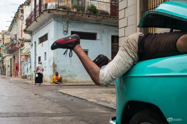 蘇陽林楚依免費(fèi)閱讀筆趣閣