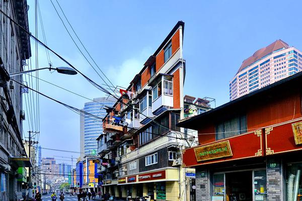 翻譯官小說(shuō)