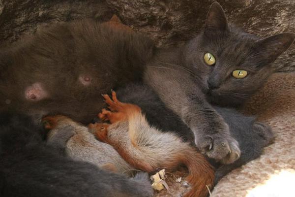 金風(fēng)玉露暗度