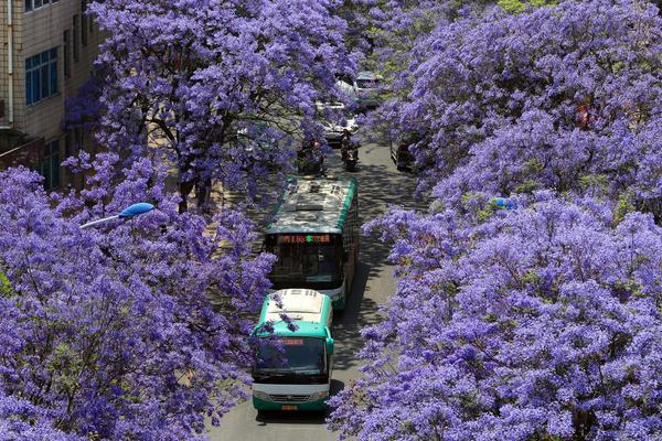 網(wǎng)游之天譴修羅