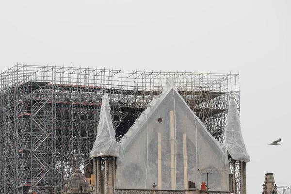 暗衛(wèi)每天都在挨我的打小說