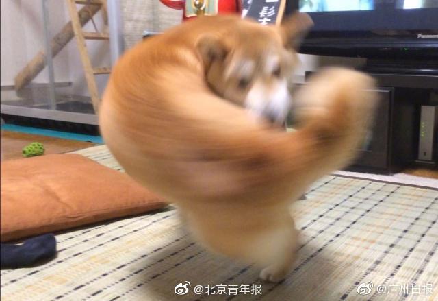 大伯哥vs弟媳無彈窗筆趣閣年代