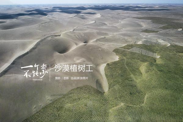 葉塵池瑤小說全文免費(fèi)閱讀至尊神皇