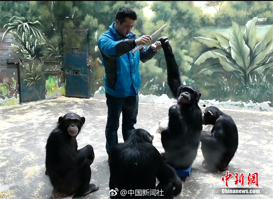 超級狂婿林蕭免費(fèi)