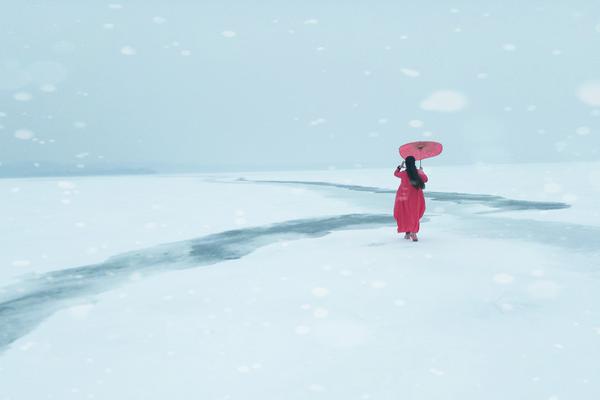 天香 夢(mèng)溪石