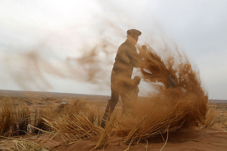 顧漫《驕陽(yáng)似我》小說(shuō)