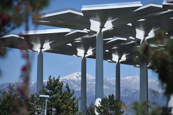 和離后嫁給了大將軍