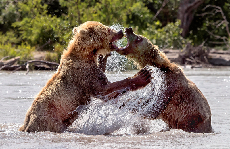 《火熱女警》免費觀看