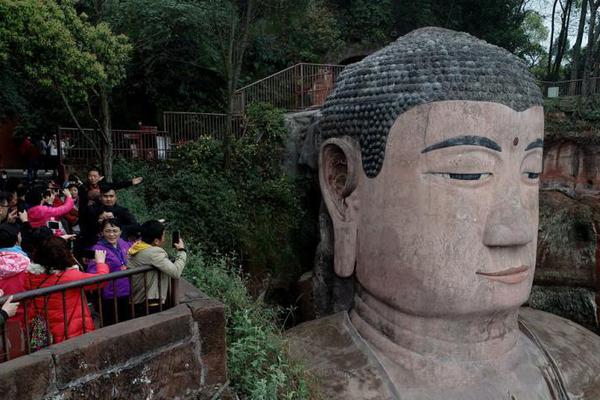 樹(shù)王圣體菇采集路線