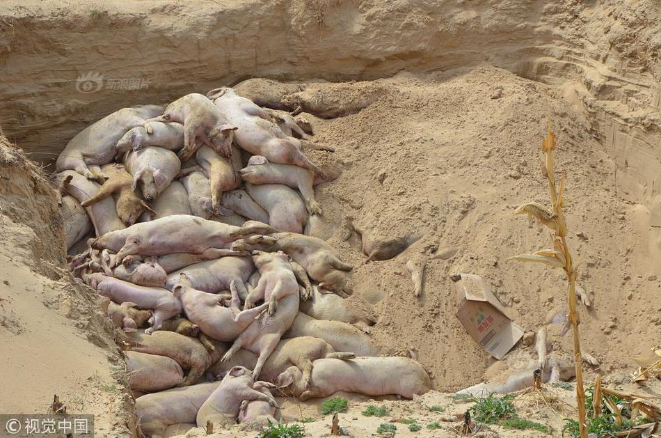 我愛(ài)羅的沙