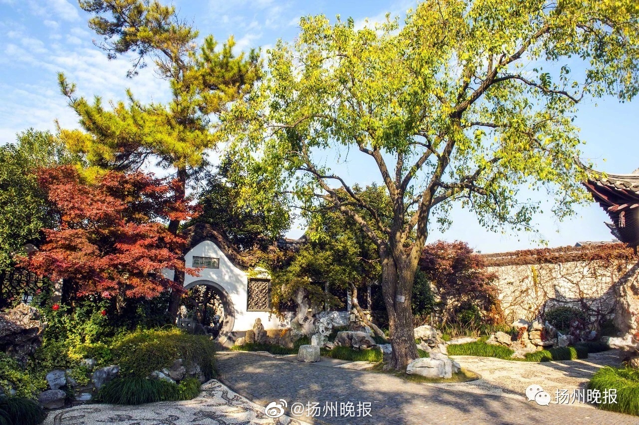 衾何以堪書(shū)包網(wǎng)