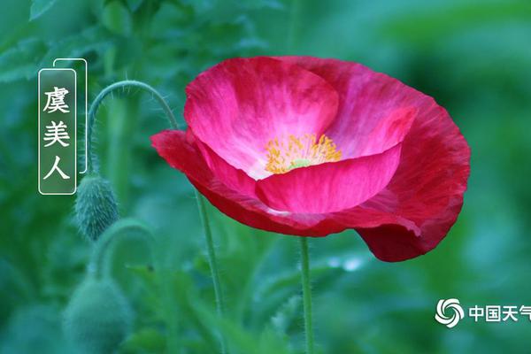 被師傅、師叔輪流欺負(fù)的修仙小說