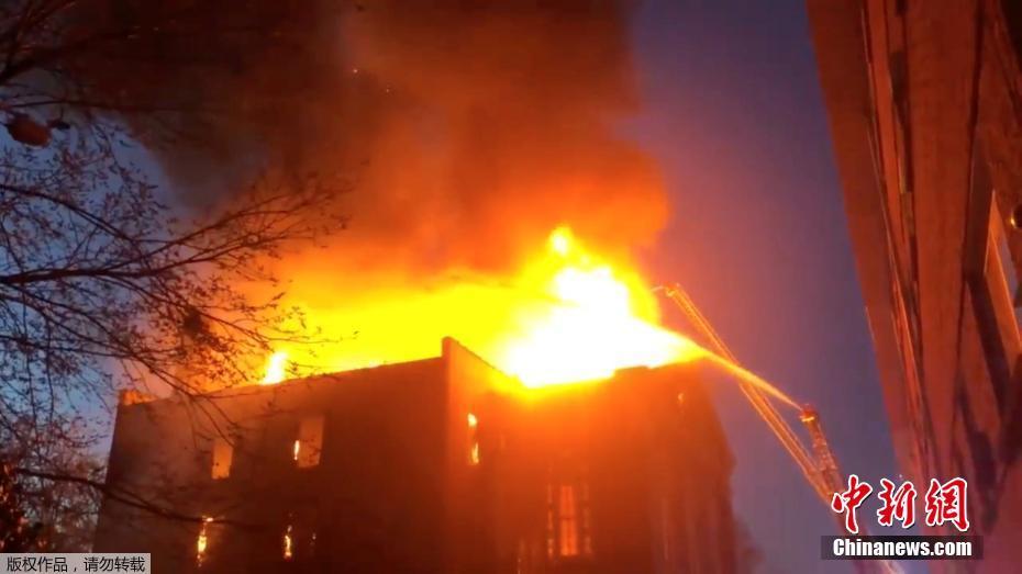 白發(fā)皇妃全文