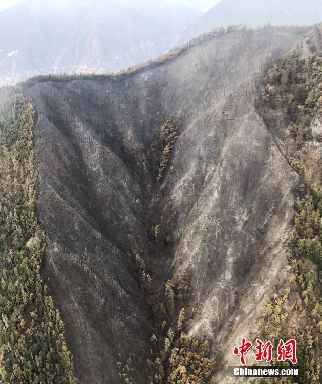 喬梁葉心儀超前更新免費閱讀