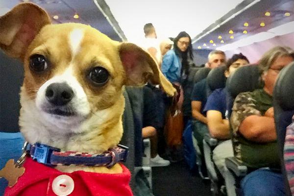 修仙炮灰男生存手冊