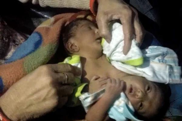 母畜學(xué)院訓(xùn)練(完結(jié))筆趣閣靈光只能乍