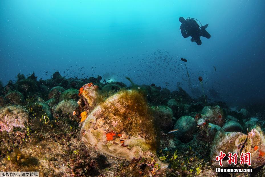 九龍歸一訣完整版小說(shuō)免費(fèi)閱讀