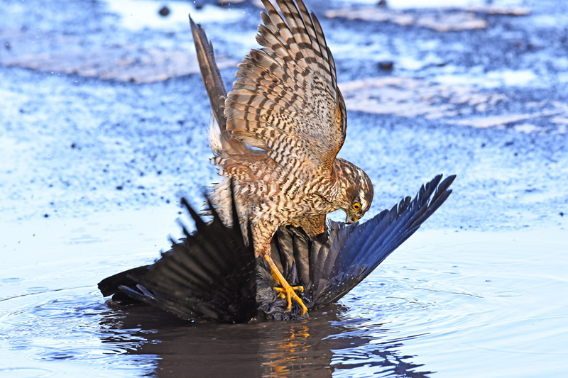范建明李婧婧小說免費(fèi)閱讀在線