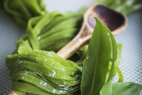 葉君臨李子染全文免費閱讀最新