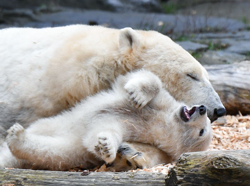 一代天驕 一起成功