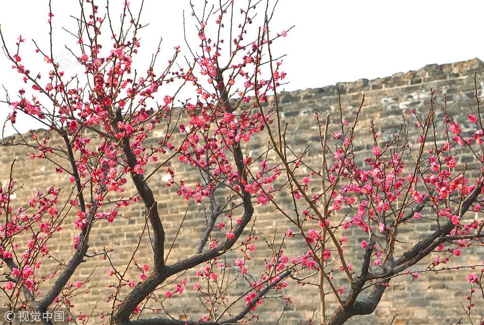 穿越原始社會(huì)