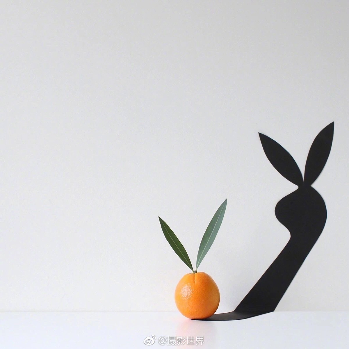 洛王妃全文免費閱讀