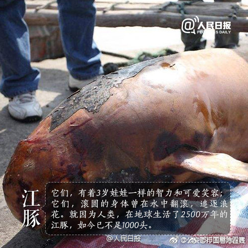 長(zhǎng)官愛人19樓