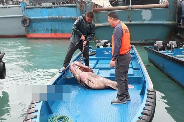 異界之萌系亡靈物語