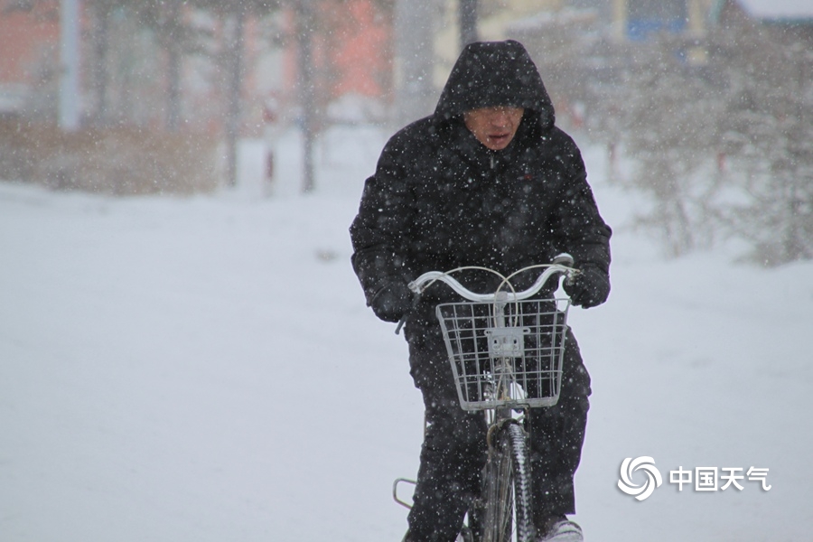 龍王殿蕭陽全文免費閱讀